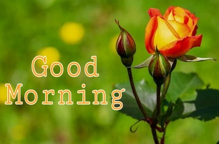 Good morning Images Good morning Images