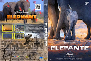 ELEFANTES – ELEPHANT – 2020