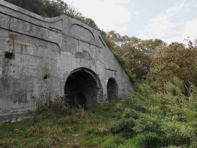 Владивосток, остров Русский, мыс Тобизина - форт