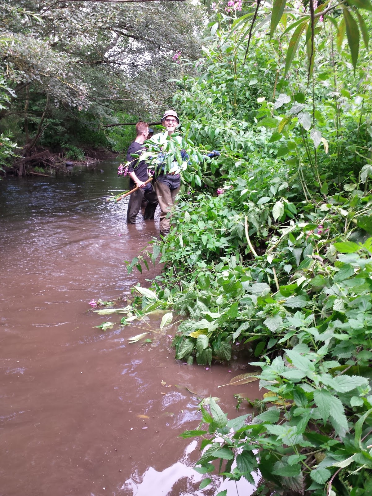 Frampton Cotterell Balsam Journal Parsonage Bridge to Nightingale Bridge