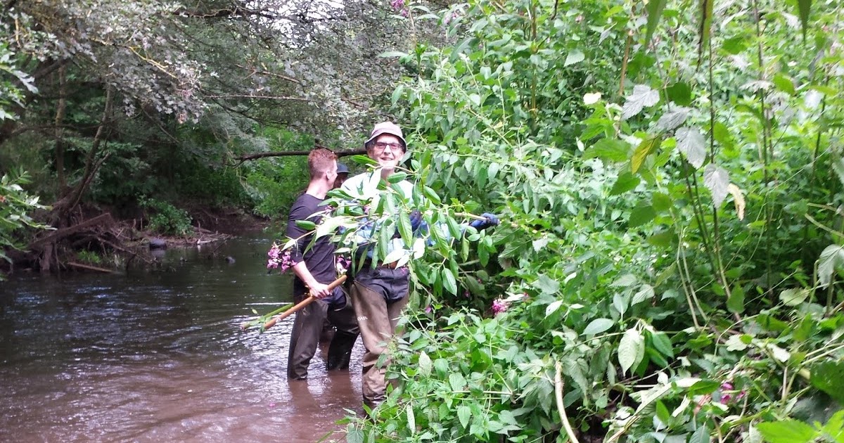 Frampton Cotterell Balsam Journal Parsonage Bridge to Nightingale Bridge