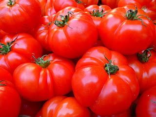 fresh red tomatoes