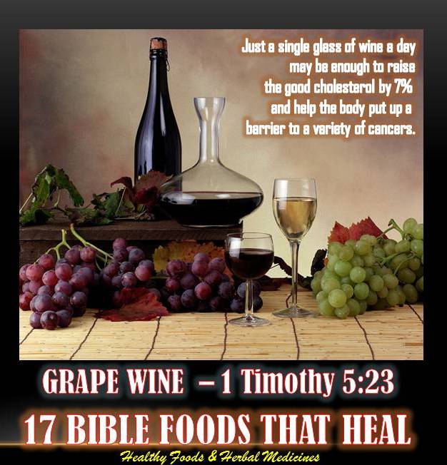17 BIBLE FOODS THAT HEAL GRAPE WINE 1 Timothy 523