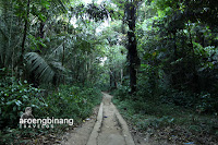 gua mimpi bantimurung