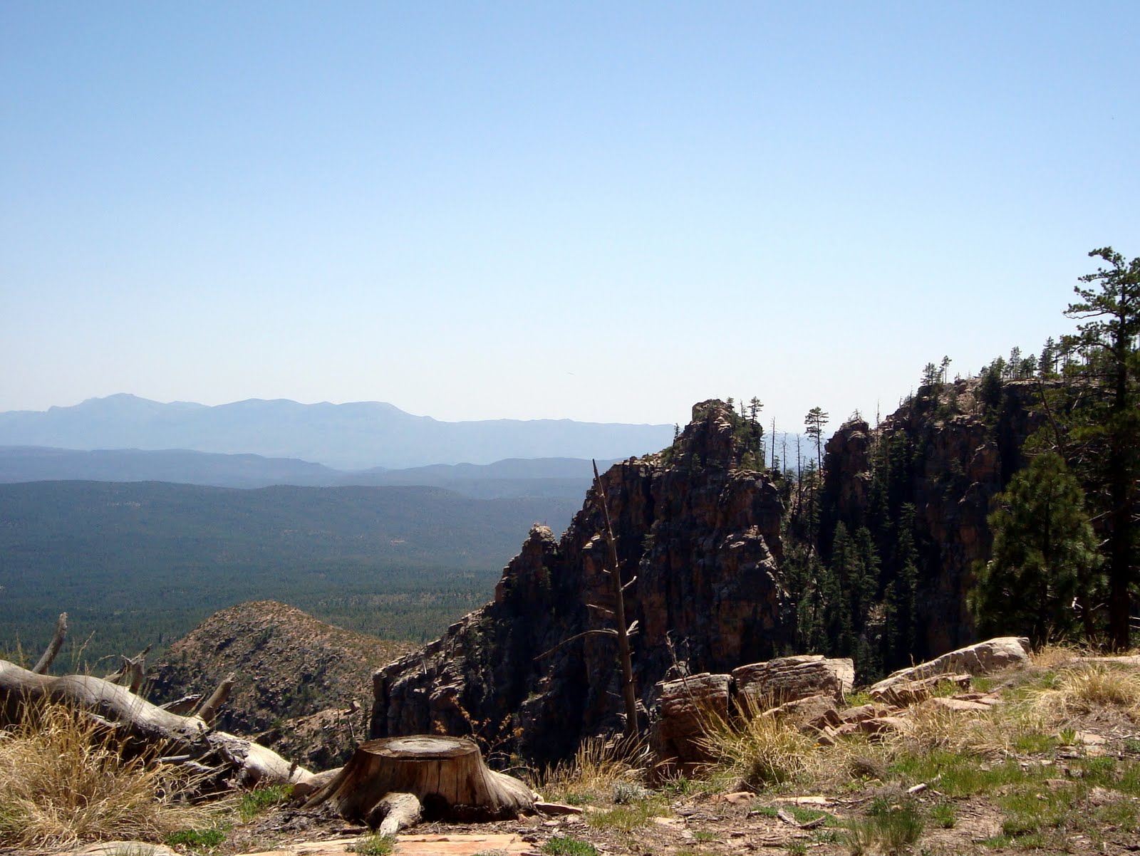 Highway Runner A DRIVE ON THE MOGOLLON RIM, FOREST ROAD 300