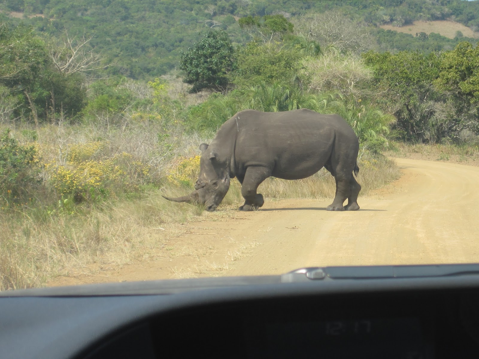 isiinspiration St Lucia Animals/Wetlands
