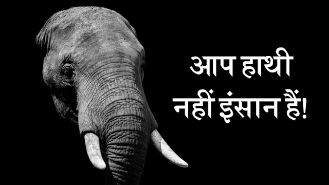 आप हाथी नहीं इंसान हैं! | Hindi Motivational Story