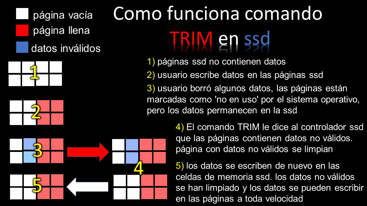 ᐅ Que es TRIM y como activarlo en mi UNIDAD DE ESTADO SÓLIDO (SSD