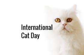 International Cat Day