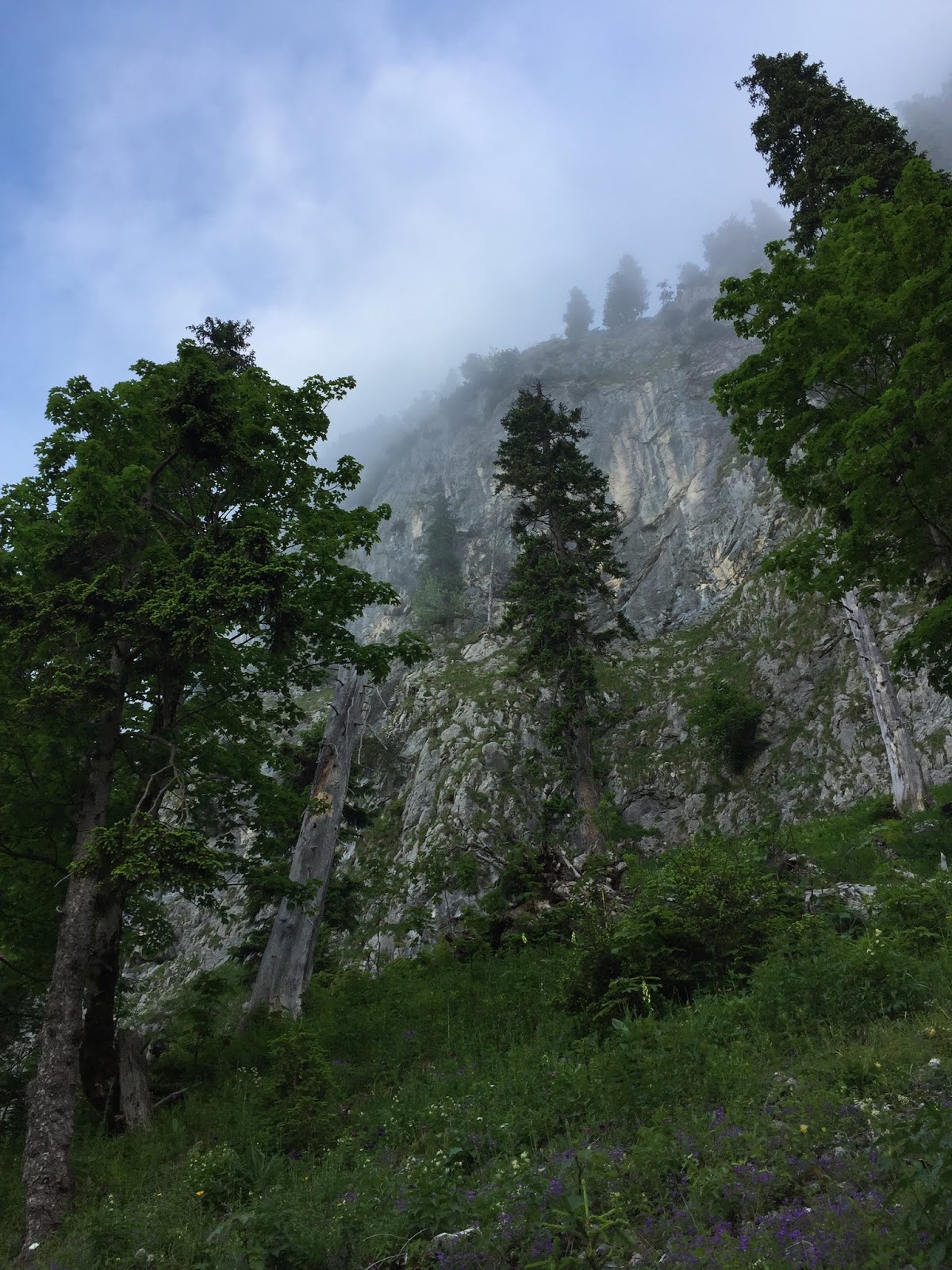 Tschechien Von Prag Nach Ostbohmen