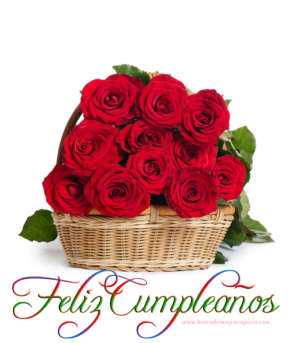 fotos de flores de cumpleaños
