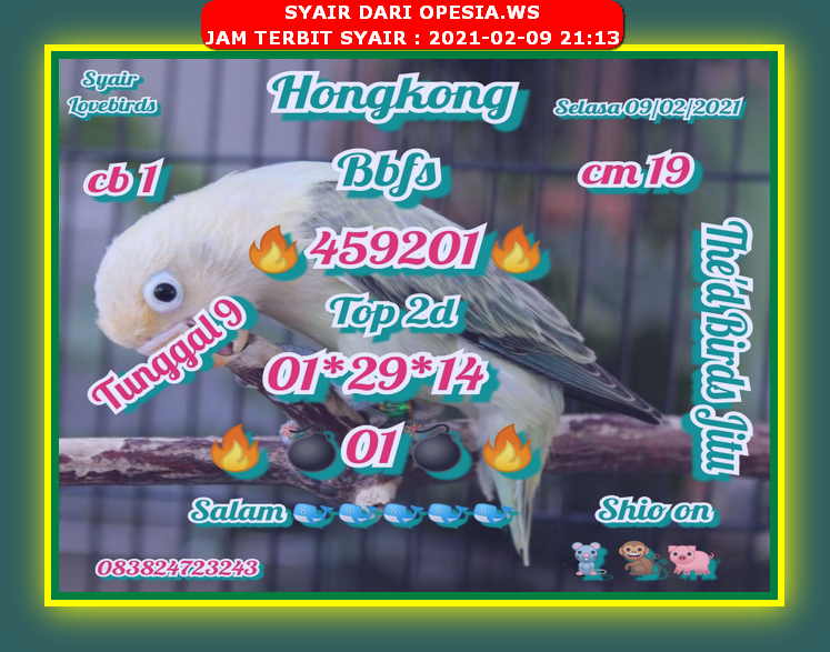 Syair Hk Hari Ini Selasa 9 Februari 2021 Opesia Official Syair Hk Hari Ini Selasa 9 Februari 2021 Opesia Official