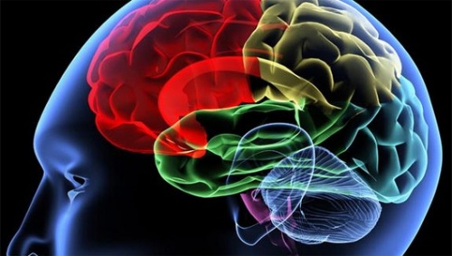 7 cách hack bộ não khiến bạn... có trí nhớ siêu phàm hơn
