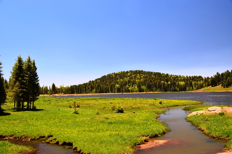 Where in the world...: San Pedro Peaks Wilderness