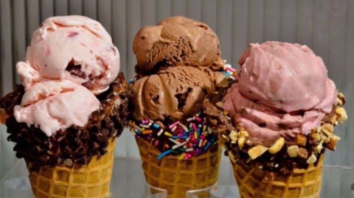 Makanan Sehat dari Olahan Susu Erina's Diary