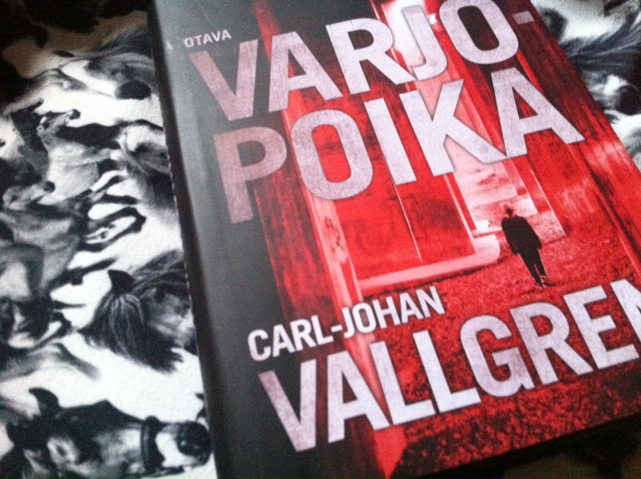 CarlJohan Vallgren Varjopoika (2015)