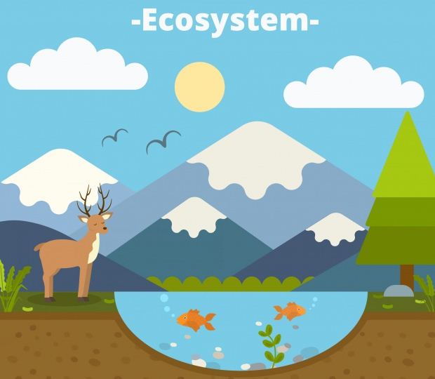 Ekosistem Buatan Dan Aliran Energi Dalam Ekosistem Dunia Sains