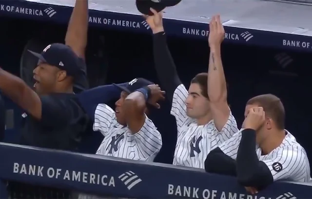 A cat caught in a baseball stadium is finally caught