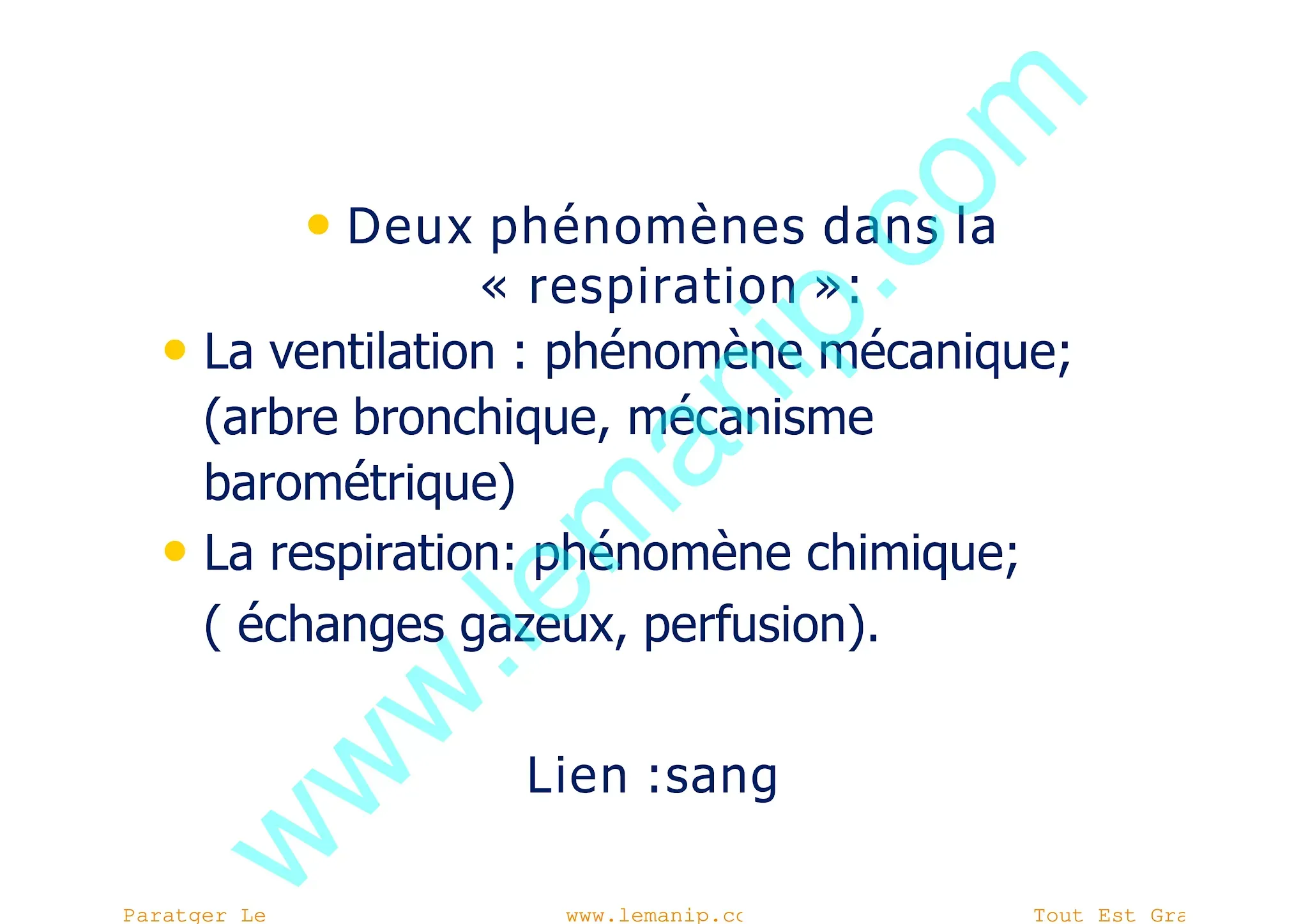 Introduction Au Poumons Et Appareil Respiratoire 2