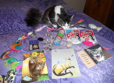 Anakin The Two Legged Cat's First Birthday presents