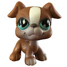 Littlest Pet Shop Special Boxer (#No #) Pet