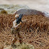 20mm Afghanistan Project - Test Pieces