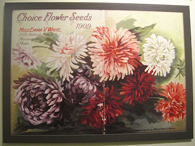 Litho of many colored asters