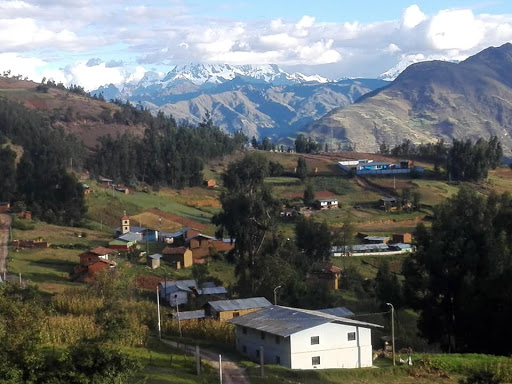 Saurapa