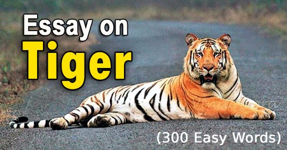 essay on tiger for class 5