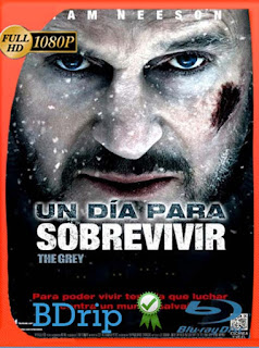 Un día para sobrevivir (2011) BDRIP 1080p Latino [GoogleDrive] SXGO