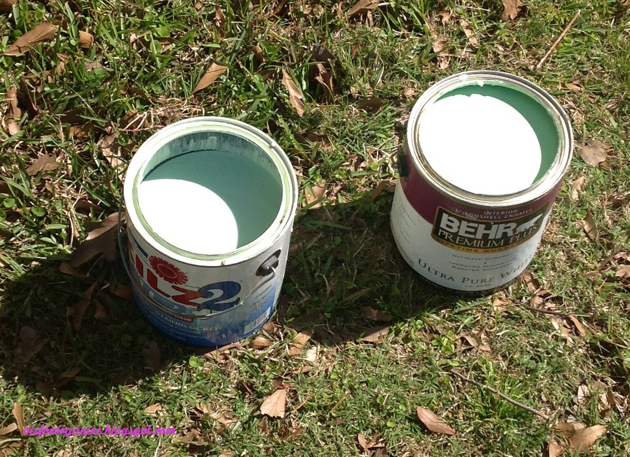 O is for Organize. Paint Storage Part One