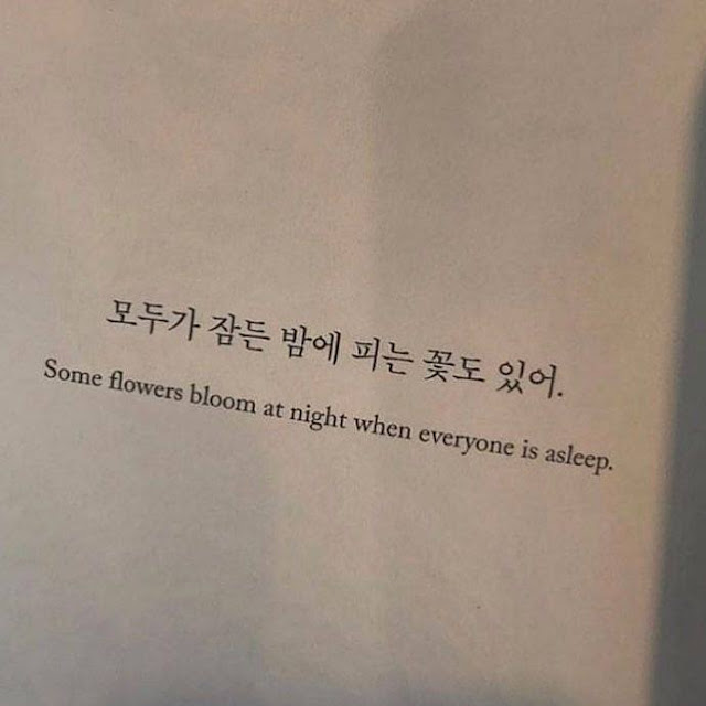 Some flowers bloom at night when everyone is asleep Picture Of The Day