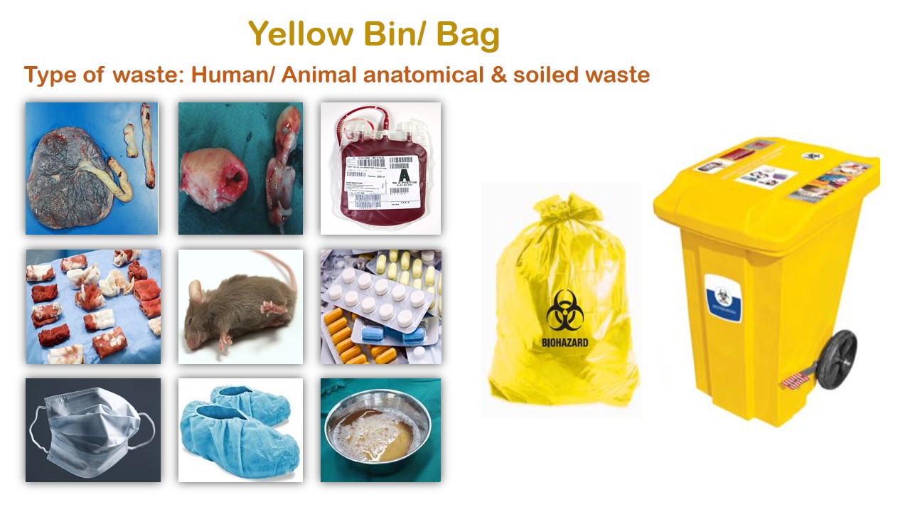 BiohazardBioMedical waste Yellow Bags for hospitals 20x24 Inch