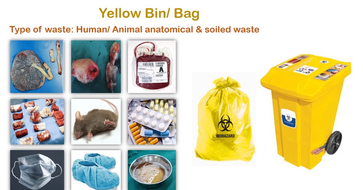 Spotters in "Hospital Waste Management" for CFM & MPH students