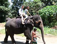 Riding-Elephants-In-Thailand