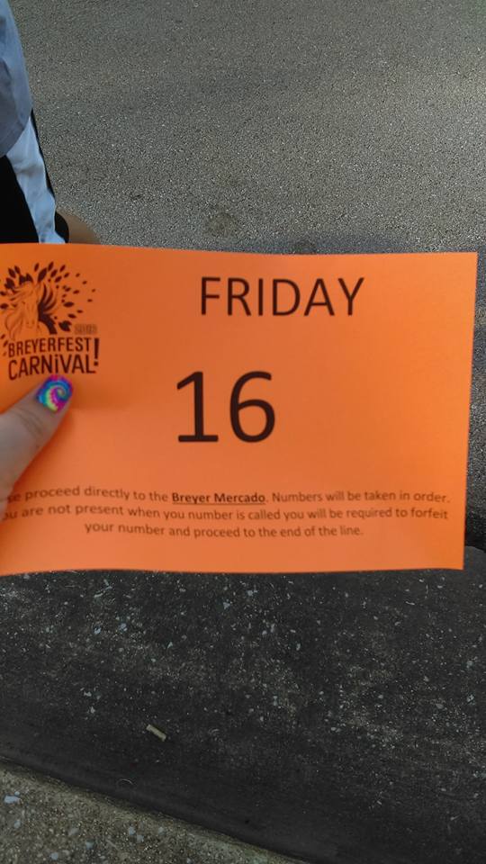 Road To BreyerFest Breyerfest Fun and Why You Should Join In!