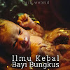 Ilmu Kebal dari Bayi Bungkus Ilmu Kebal dari Bayi Bungkus