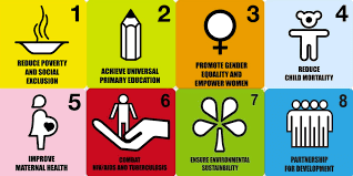 संयुक्त राष्ट्र संघ ने विश्वव्यापी विकास के मद्देनजर सहस्त्राब्दि विकास के उद्देश्य (UNO aims for Millennium Development in view of Worldwide Development) 