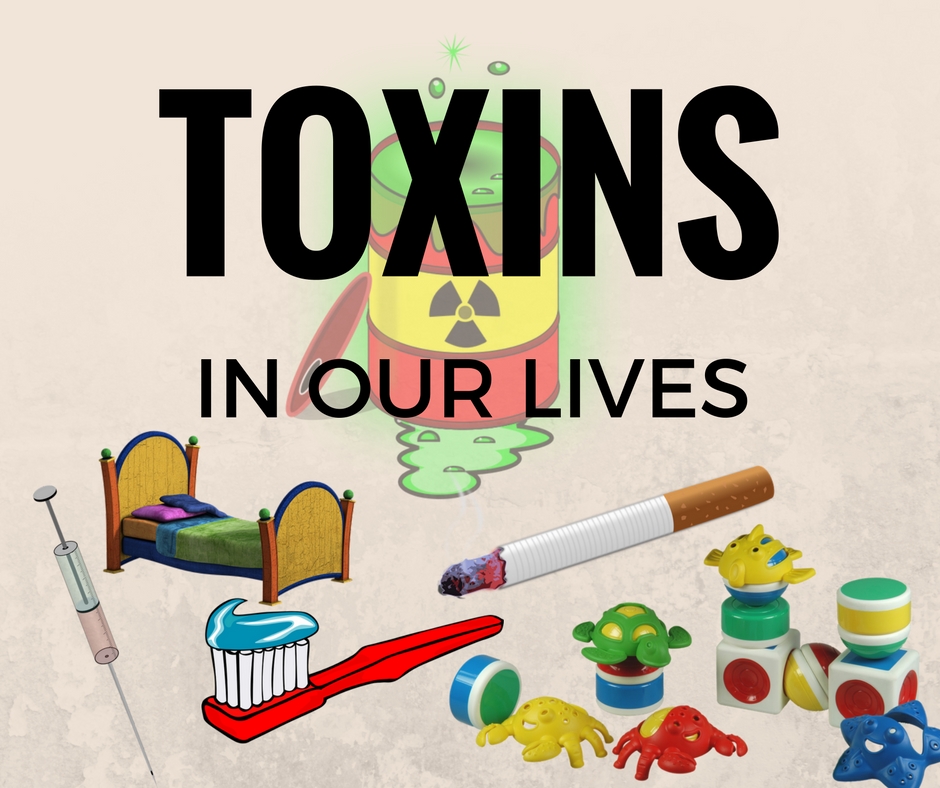 Kind Mama Levine Toxins In Our Lives Part 1