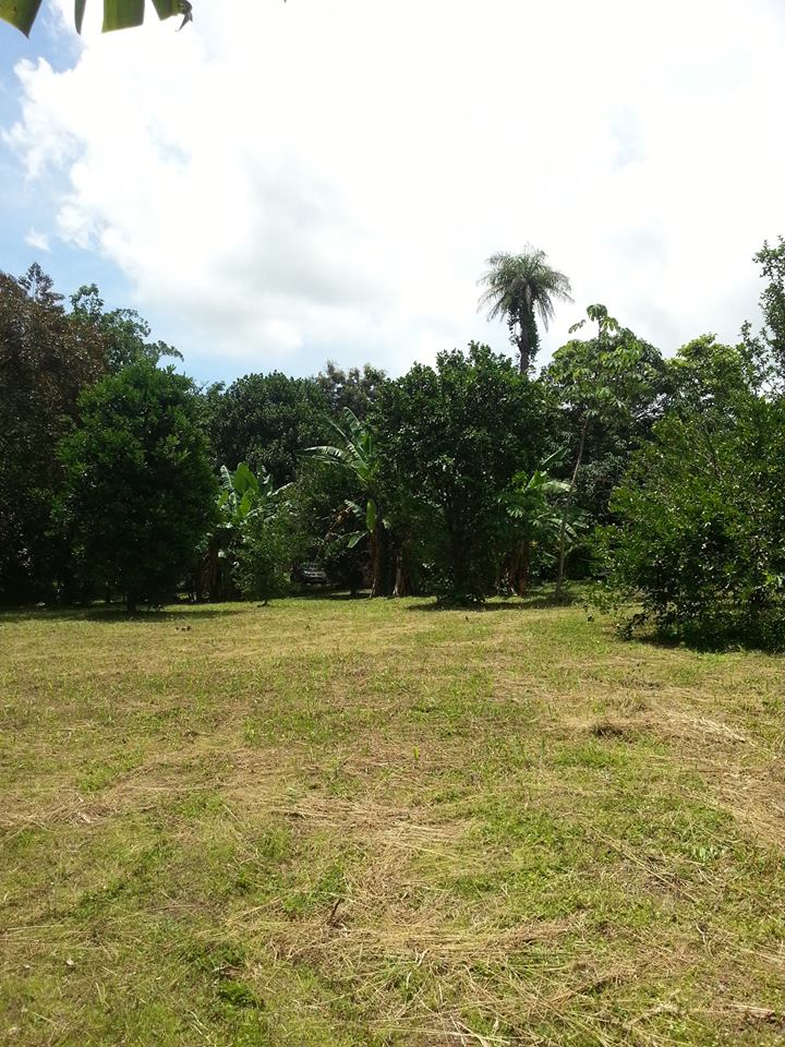 MPaniagua bienes raices 0137001 Lote, San Pablo de Turrubares, San