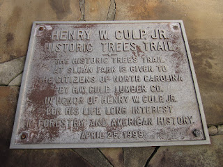 Henry W. Culp Jr. Historic Trees Trail at Sloan Park © Katrena