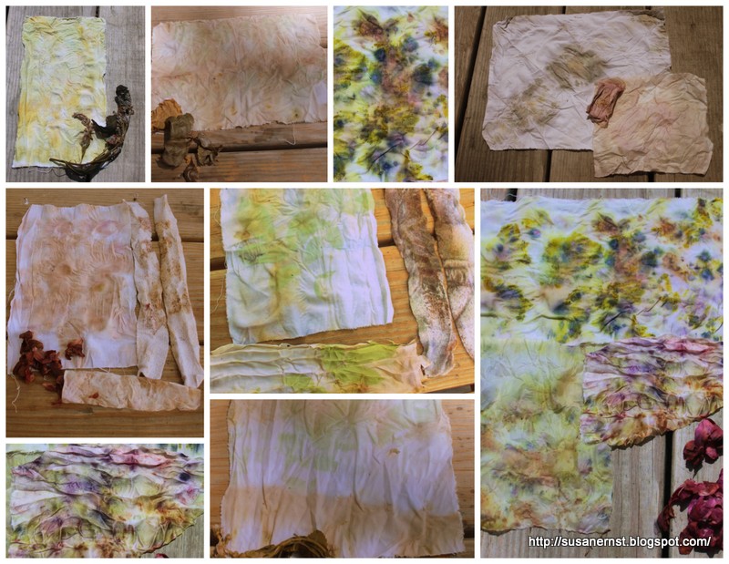 Honeysuckle Cottage and Wisteria Studio Rhododendron Flowers EcoPrint