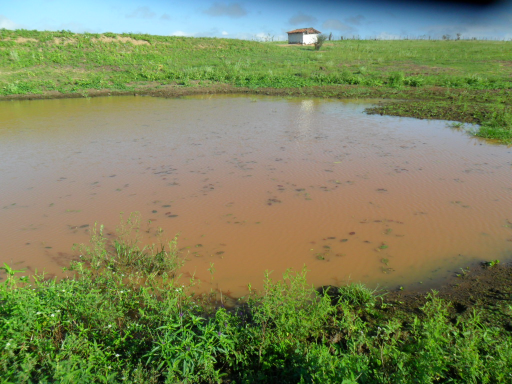 DSORIEDEM: Junho 2013