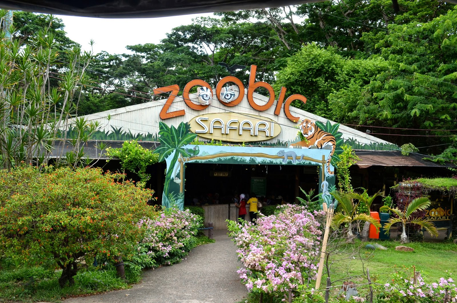 hotel in zoobic safari
