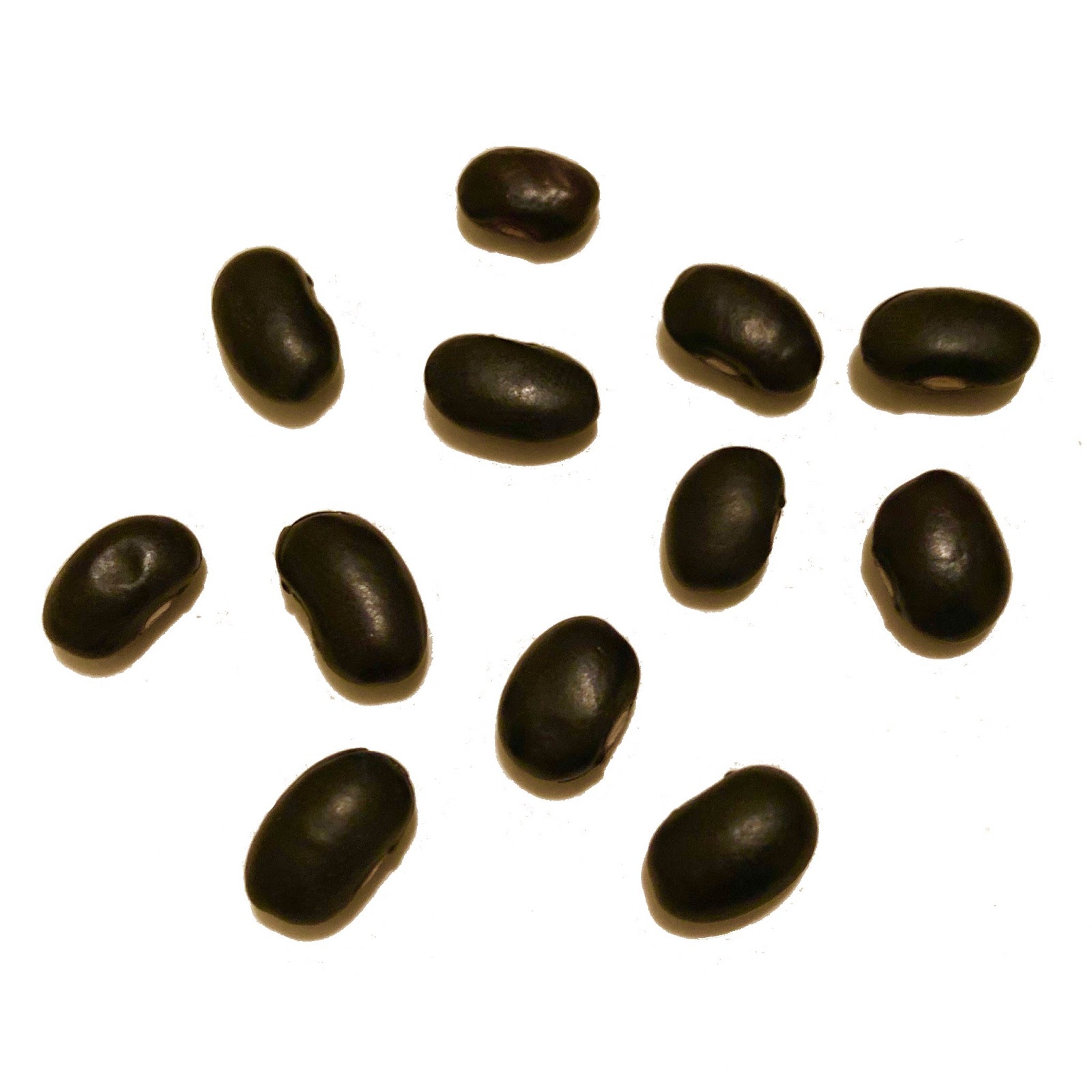 black beans