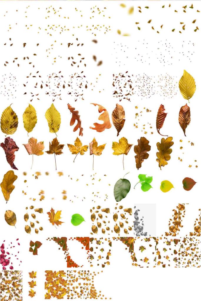 Autumn_Leaves autumn leaves hd,autumn leaves images png, autumn leaves images uk, autumn leaves images hd download, happy birthday autumn leaves images, beautiful autumn leaves images,
