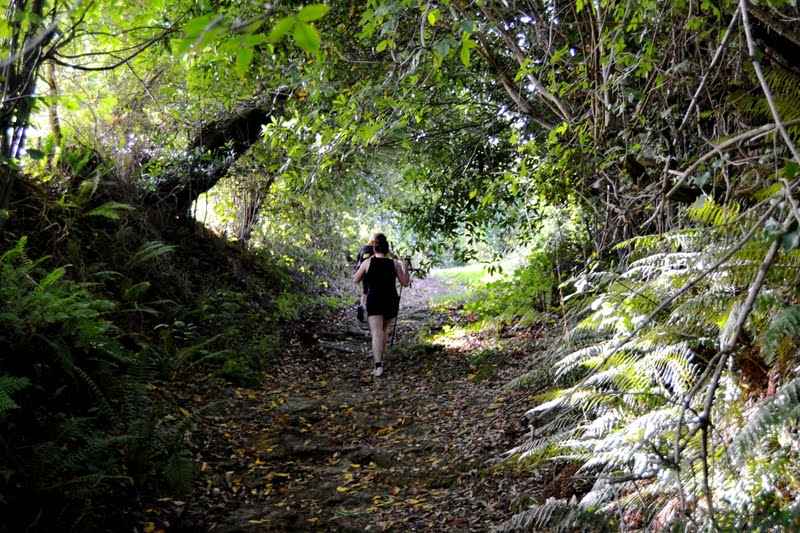 El Camino de Santiago desde Asturias De "La Villa" a Cangas de Onís