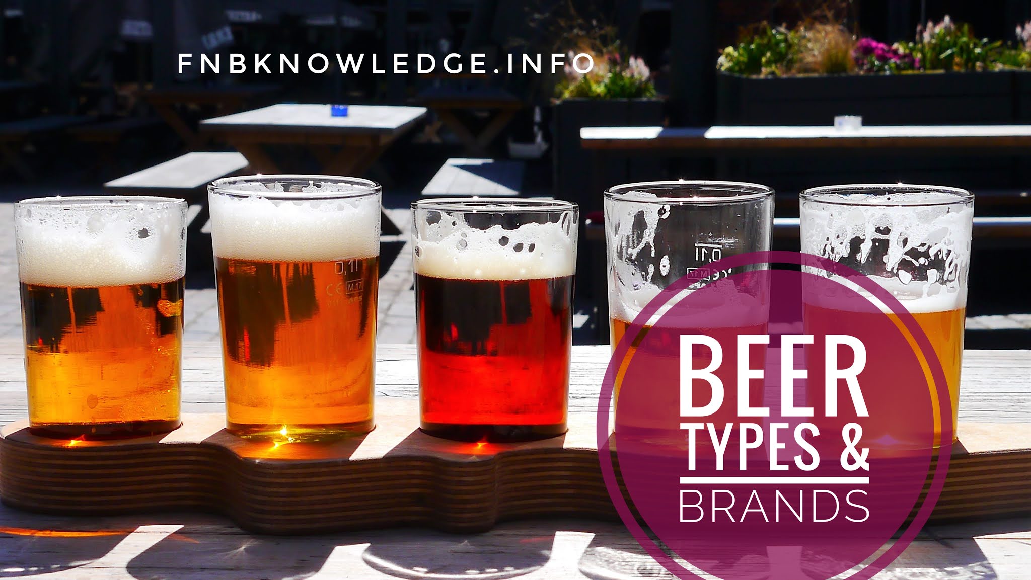 Beer types & brands