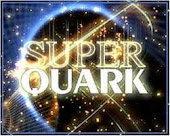 Super Quark