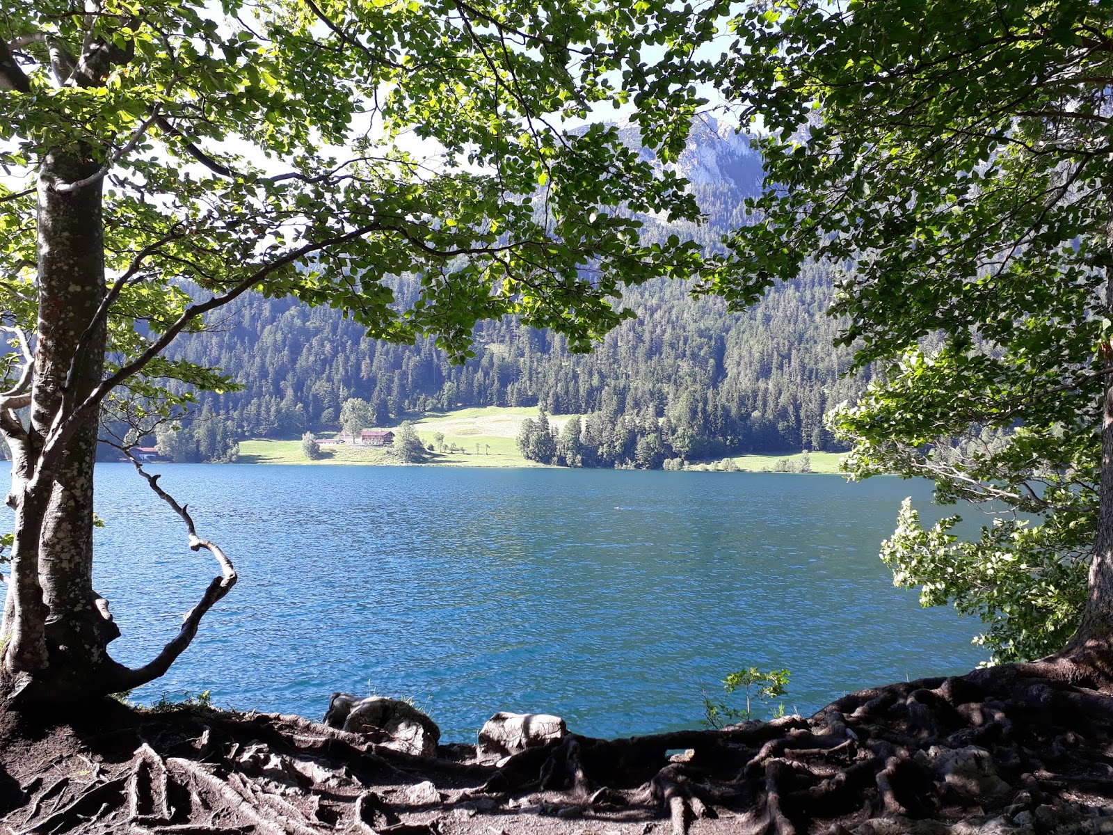 Die Landfrau Danke Erfurt Die Landfrau Im Osten Des Landes